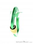 AustriAlpin Micro Eloxiert Locking Carabiner, , Green, , , 0087-10065, 5637572856, , N2-07.jpg