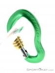 AustriAlpin Micro Eloxiert Locking Carabiner, , Green, , , 0087-10065, 5637572856, , N2-12.jpg
