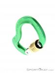 AustriAlpin Micro Eloxiert Locking Carabiner, Austrialpin, Green, , , 0087-10065, 5637572856, 0, N3-03.jpg