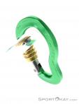 AustriAlpin Micro Eloxiert Locking Carabiner, , Green, , , 0087-10065, 5637572856, , N3-13.jpg