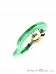 AustriAlpin Micro Eloxiert Locking Carabiner, , Green, , , 0087-10065, 5637572856, , N4-19.jpg