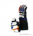 Reusch Alexis Pinturault GTX Gloves Gore-Tex, Reusch, Multicolored, , Male,Female,Unisex, 0124-10036, 5637572955, 4050205797669, N1-06.jpg