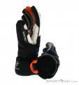 Reusch Alexis Pinturault GTX Gloves Gore-Tex, Reusch, Multicolored, , Male,Female,Unisex, 0124-10036, 5637572955, 4050205797669, N1-16.jpg