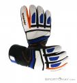 Reusch Alexis Pinturault GTX Gloves Gore-Tex, , Multicolored, , Male,Female,Unisex, 0124-10036, 5637572955, , N2-02.jpg