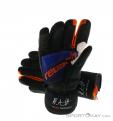 Reusch Alexis Pinturault GTX Gloves Gore-Tex, Reusch, Multicolore, , Hommes,Femmes,Unisex, 0124-10036, 5637572955, 4050205797669, N2-12.jpg