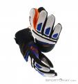 Reusch Alexis Pinturault GTX Gloves Gore-Tex, , Multicolored, , Male,Female,Unisex, 0124-10036, 5637572955, , N4-04.jpg