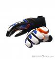 Reusch Alexis Pinturault GTX Gloves Gore-Tex, , Multicolored, , Male,Female,Unisex, 0124-10036, 5637572955, , N5-10.jpg