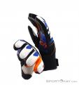 Reusch Alexis Pinturault GTX Gloves Gore-Tex, , Multicolored, , Male,Female,Unisex, 0124-10036, 5637572955, , N5-15.jpg