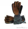 Dakine Titan Leather GTX Mens Gloves Gore-Tex, , Gray, , Male, 0200-10146, 5637573152, , N1-11.jpg