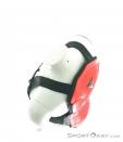 Dainese Manis Winter Mens Back Protector, Dainese, Red, , Male, 0055-10137, 5637573218, 03262308, N4-19.jpg