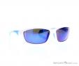 Alpina Fenno Sunglasses, Alpina, Blue, , Male,Female, 0027-10110, 5637574546, 4003692226013, N1-01.jpg