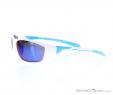 Alpina Fenno Sunglasses, Alpina, Blue, , Male,Female, 0027-10110, 5637574546, 4003692226013, N1-06.jpg