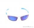 Alpina Fenno Sunglasses, Alpina, Blue, , Male,Female, 0027-10110, 5637574546, 4003692226013, N2-02.jpg