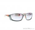 Alpina Fenno Sunglasses, , Orange, , Male,Female, 0027-10110, 5637574547, , N1-01.jpg