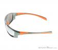 Alpina Fenno Sunglasses, , Orange, , Male,Female, 0027-10110, 5637574547, , N2-07.jpg