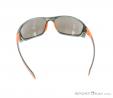 Alpina Fenno Sunglasses, , Orange, , Male,Female, 0027-10110, 5637574547, , N2-12.jpg