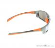 Alpina Fenno Sunglasses, , Orange, , Male,Female, 0027-10110, 5637574547, , N2-17.jpg