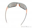 Alpina Fenno Sunglasses, , Orange, , Male,Female, 0027-10110, 5637574547, , N3-13.jpg