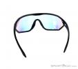 Alpina S-Way QVM+ Sunglasses, , Black, , Male,Female, 0027-10111, 5637574548, , N2-12.jpg