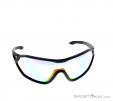 Alpina S-Way VLM+ Sunglasses, , Black, , Male,Female,Unisex, 0027-10112, 5637574577, , N2-02.jpg