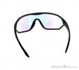 Alpina S-Way VLM+ Sunglasses, Alpina, Black, , Male,Female,Unisex, 0027-10112, 5637574577, 4003692240422, N2-12.jpg