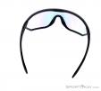 Alpina S-Way VLM+ Sunglasses, Alpina, Black, , Male,Female,Unisex, 0027-10112, 5637574577, 4003692240422, N3-13.jpg