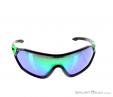 Alpina S-Way CM Sunglasses, , Green, , Male,Female,Unisex, 0027-10113, 5637574579, , N2-02.jpg