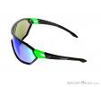 Alpina S-Way CM Sunglasses, , Green, , Male,Female,Unisex, 0027-10113, 5637574579, , N2-07.jpg