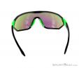 Alpina S-Way CM Sunglasses, , Green, , Male,Female,Unisex, 0027-10113, 5637574579, , N2-12.jpg