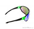 Alpina S-Way CM Sunglasses, , Green, , Male,Female,Unisex, 0027-10113, 5637574579, , N2-17.jpg