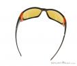 Julbo Monte Bianco Cameleon Sunglasses, Julbo, Gray, , Male,Female,Unisex, 0010-10055, 5637576600, 3660576002166, N3-13.jpg
