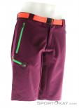 Ortovox Merino Shield Light Brenta Mens Outdoor Pants, Ortovox, Purple, , Male, 0016-10299, 5637577459, 4250875239388, N1-01.jpg