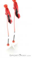 Atomic Redster GS Ski Poles, , Red, , Male,Female,Unisex, 0003-10178, 5637579395, , N4-09.jpg