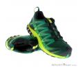 Salomon XA Pro 3D GTX Mens Trail Running Shoes Gore-Tex, Salomon, Green, , Male, 0018-10788, 5637582436, 889645567488, N1-01.jpg