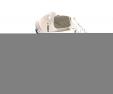 adidas Terrex Agravic Speed Mens Trail Running Shoes, , White, , Male, 0002-11235, 5637584511, , N3-18.jpg