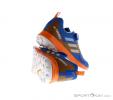 adidas Terrex Two Boa Mens Running Shoes, adidas Terrex, Bleu, , Hommes, 0002-11238, 5637584762, 0, N1-16.jpg