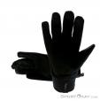 Leki Thermoshield Gloves, Leki, Black, , Male,Female,Unisex, 0012-10201, 5637584875, 4028173244973, N2-12.jpg