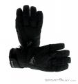 Leki Alpe GTX Lady Womens Gloves Gore-Tex, Leki, Čierna, , Ženy, 0012-10203, 5637584890, 0, N2-02.jpg