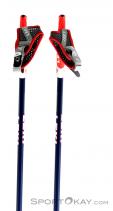 Leki Pacemaker 130cm Nordic Walking Poles, , Blue, , Male,Female,Unisex, 0012-10209, 5637585030, , N1-11.jpg