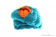 Deuter Astro Pro 400 -4°C Womens Down Sleeping Bag, , Turquoise, , Female, 0078-10276, 5637585228, , N2-17.jpg