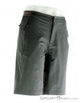 adidas Terrex LiteFlex Short Mens Outdoor Pants, adidas, Black, , Male, 0002-11276, 5637589005, 4059805476042, N1-01.jpg