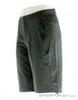 adidas Terrex LiteFlex Short Mens Outdoor Pants, adidas, Čierna, , Muži, 0002-11276, 5637589005, 4059805476042, N1-06.jpg