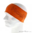 Haglöfs Lite Headband, Haglöfs, Orange, , Hommes,Femmes,Unisex, 0009-10362, 5637592043, 7318841163772, N2-07.jpg