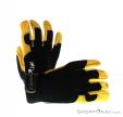 Camp Axion Light Gloves, Camp, Black, , Male,Female,Unisex, 0077-10084, 5637599839, 8005436033259, N1-01.jpg