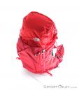 The North Face Banchee 35l Backpack, The North Face, Red, , Male,Female,Unisex, 0205-10077, 5637602854, 191477299353, N3-03.jpg