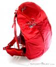 The North Face Litus 22l RC Backpack, The North Face, Rojo, , Hombre,Mujer,Unisex, 0205-10082, 5637602877, 191477296574, N2-17.jpg
