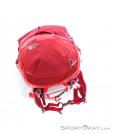 The North Face Litus 22l RC Backpack, , Red, , Male,Female,Unisex, 0205-10082, 5637602877, , N5-10.jpg