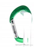 AustriAlpin Micro Snapgate Straight Carabiner, , Green, , , 0087-10026, 5637603747, , N1-11.jpg