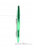 AustriAlpin Micro Snapgate Straight Carabiner, , Green, , , 0087-10026, 5637603747, , N1-16.jpg