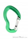 AustriAlpin Micro Snapgate Straight Carabiner, , Green, , , 0087-10026, 5637603747, , N2-02.jpg